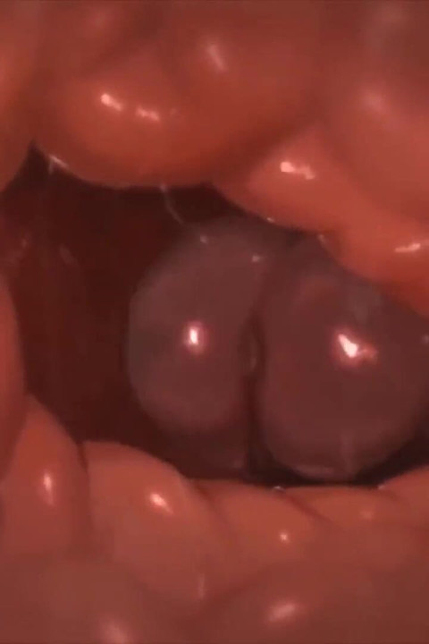 Tasque Manager X Bertukar