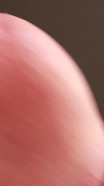 Big Cock
