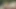 Sanatçının ofisinde tehlikeli kimyasal afrodizyak olan bir partide 3 güncel idolünün izinsiz satış videosu sızdırıldı (bölüm 3)