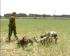 Pratinjau video