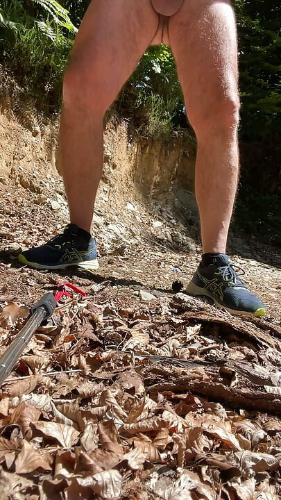 Walk in the forest