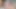 Büyük ayı xbiz miami otelinde domuz rose şişman sulu amcık yiyor