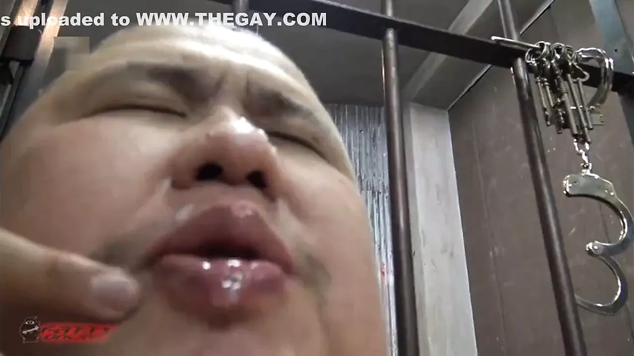 JP chubby bear