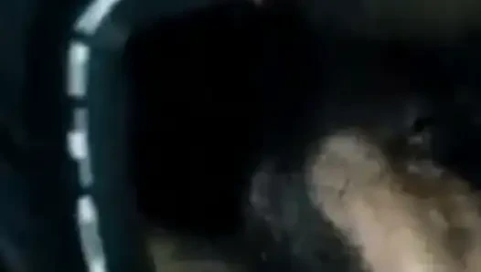 So he was milking his penis
