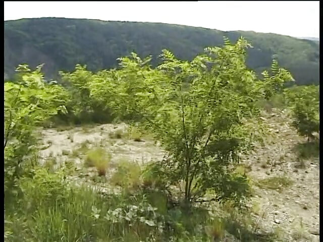 Hairless less girl gets doggysytled outdoors