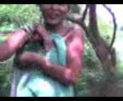 en el Bosque