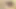 pregnant teens first black cock