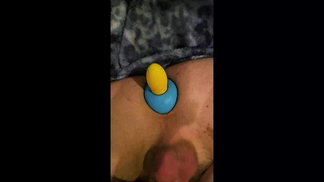 It Fits?