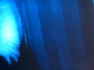 TributeToBea