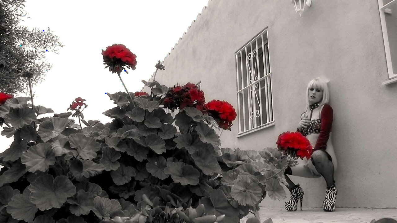 Nóra Barcelona. A legdögösebb spanyol pornósztár !! DVD