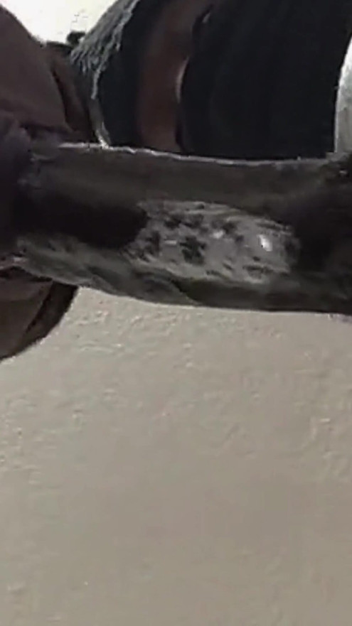 Sloppy Blowjob