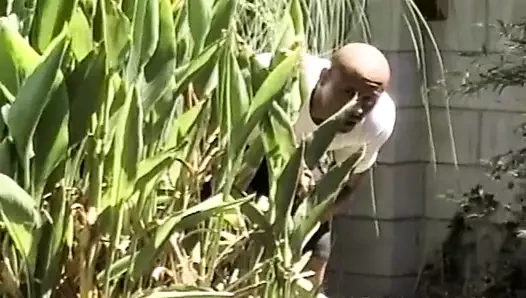 Black couple enjoys a little oral outdoors