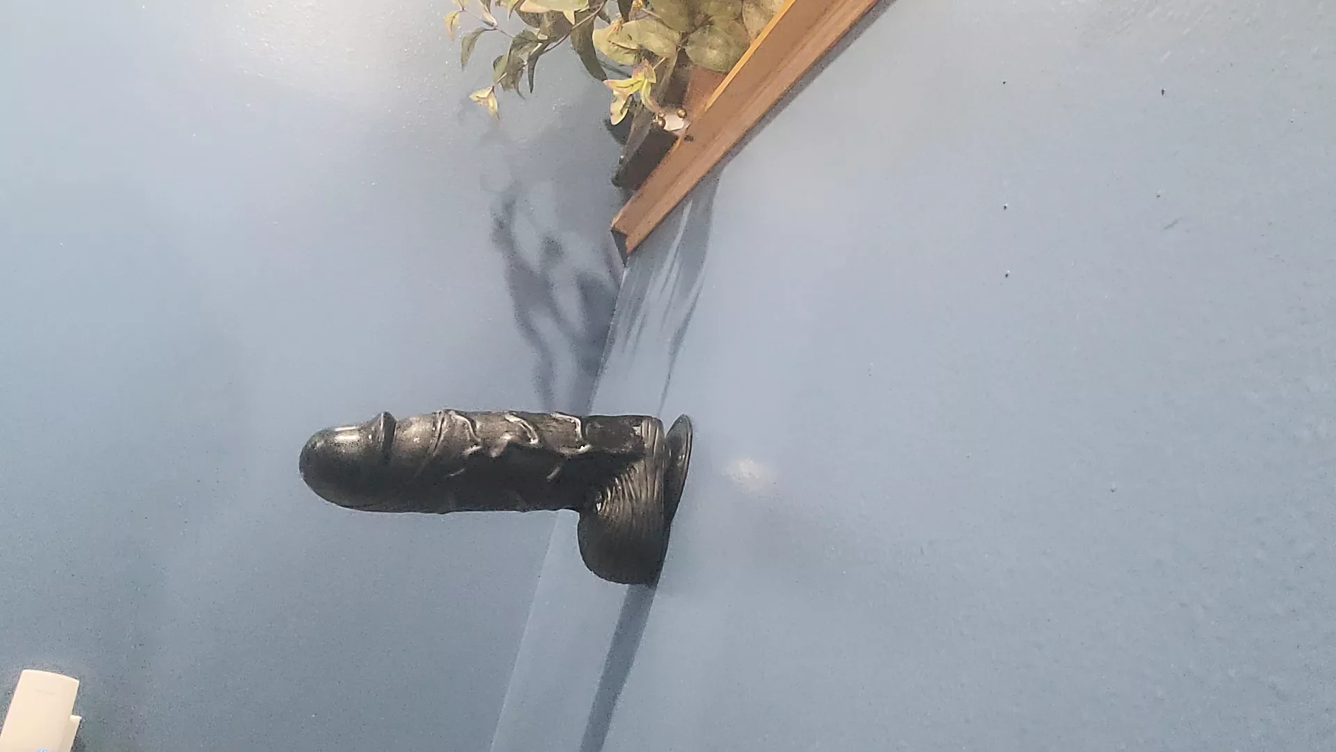 Sing ka bana huaa vishal dildo