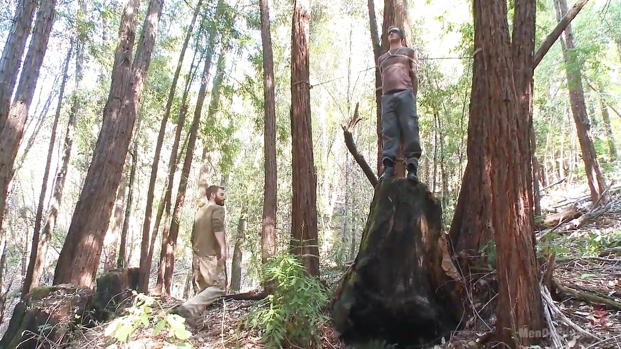 Bound Christian Wilde Begs to Cum in the Woods