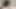 TikTok long masturbation