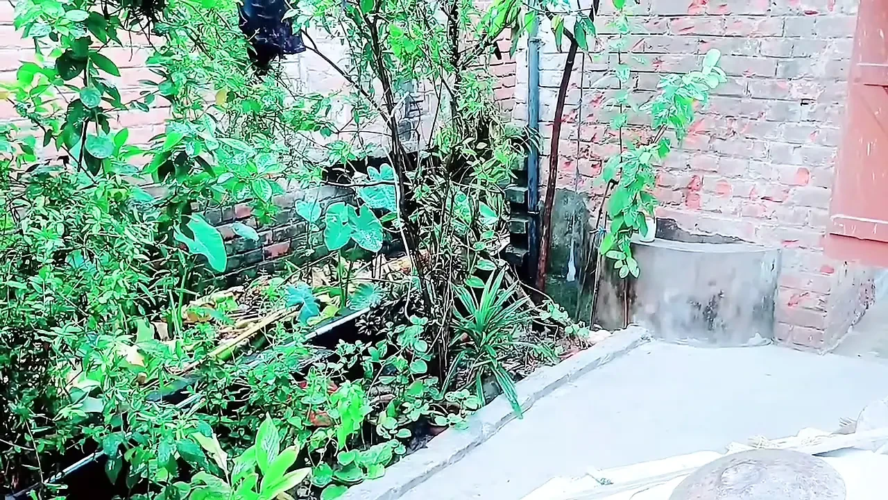 Couldn't Resist My Stepbrother's Cock And Ended Up Fucking Him.