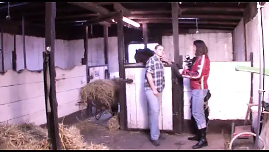 Blonde German MILF Housewife with Big Ass Gets Anal Pounded