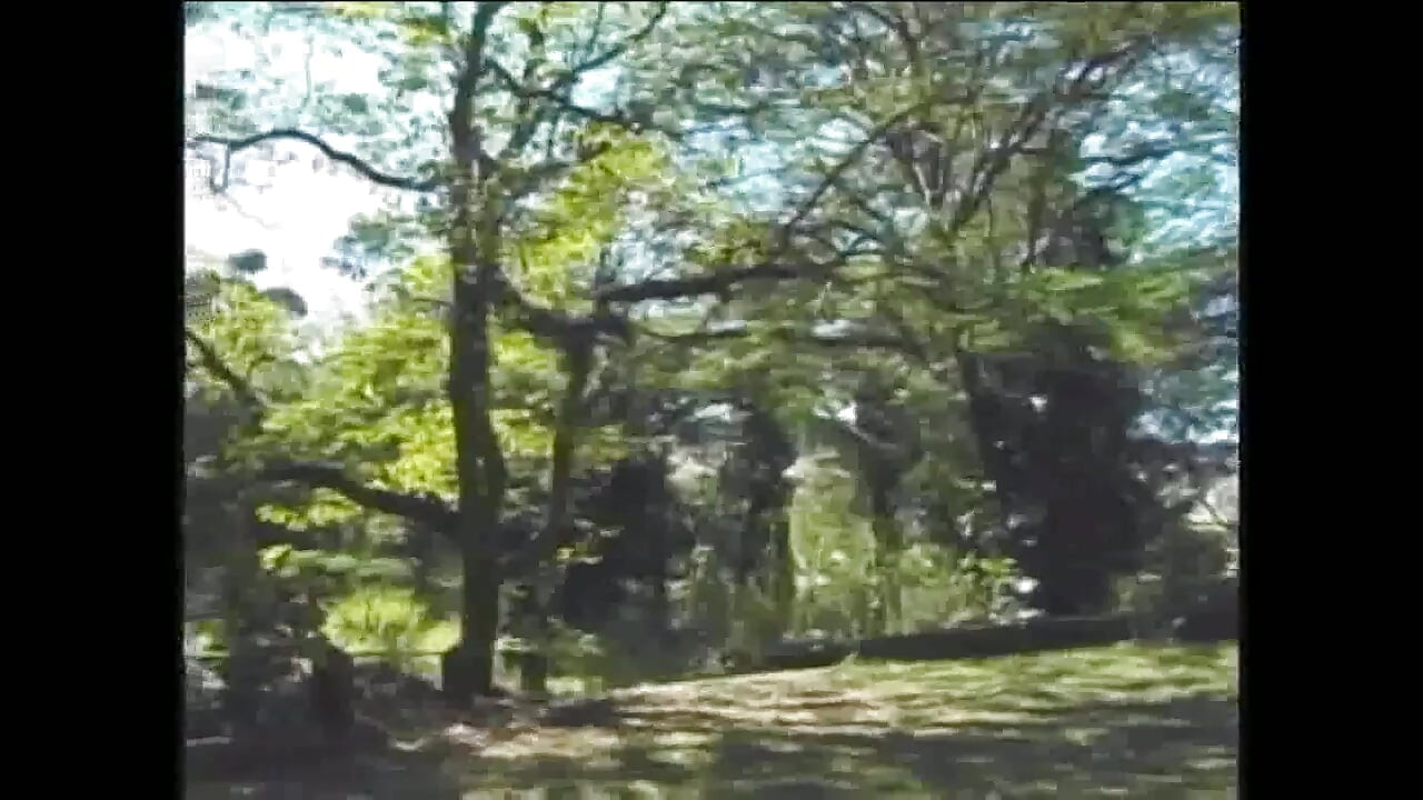 ラテン系ストレート弄女装成熟したクーガー