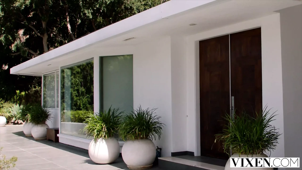 VIXEN She meant well but couldn’t resist when they were alone