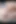 Büyük yağlanmış doğal sağımcılarının üzerinde sperm