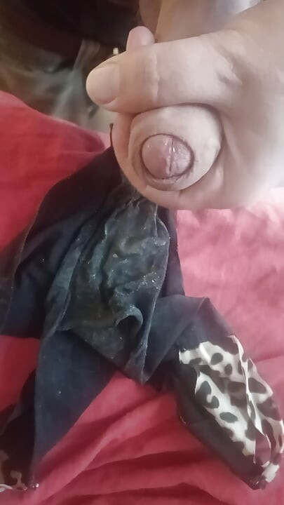Cuming in roommates dirty panties