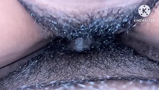 Midnight Cock