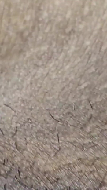 Must-share moment from "Village devar bhabhi hard sex with dick sucking hard fuck with cum facials"