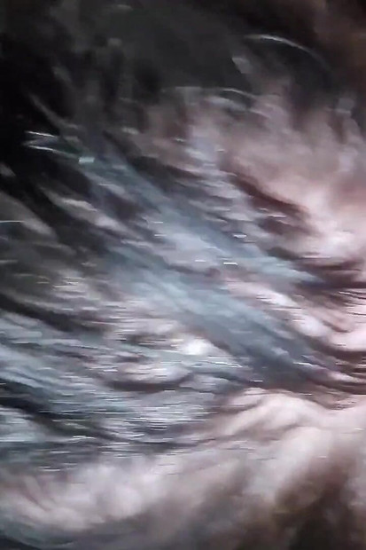 تجميع ساخن للمص - حاول ألا تقذف، كم من الوقت يمكنك أن تدوم