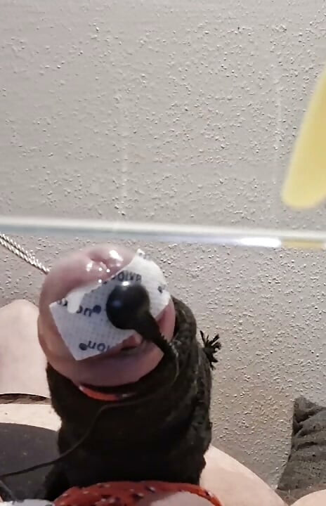 hfo solo estim cumshot electro cbt