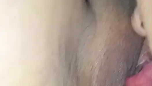 Shell lutschen und nahaufnahme