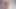 ケイト・ベア・バック・ウィップ 44234