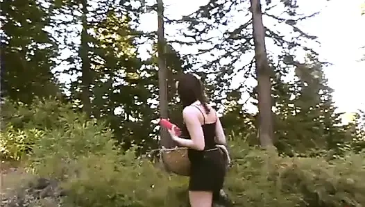 Dana DeArmond, Lorelei Lee и Дилан Райан