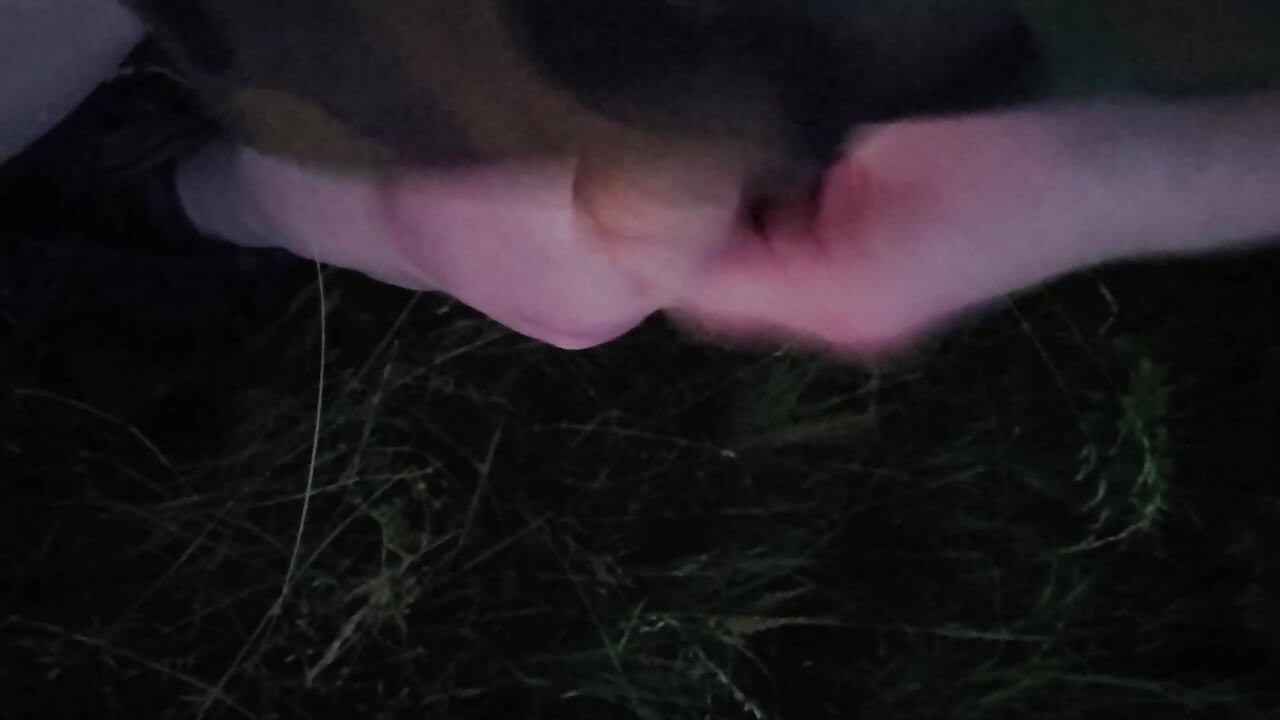 Nice Wank in the Park