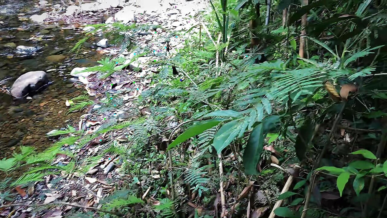 I fuck a stranger in the river when I'll go free we almost get discovered