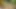 sapphic erotik tarafından oral kovboy kızlar - lezbiyen aşk porno ile