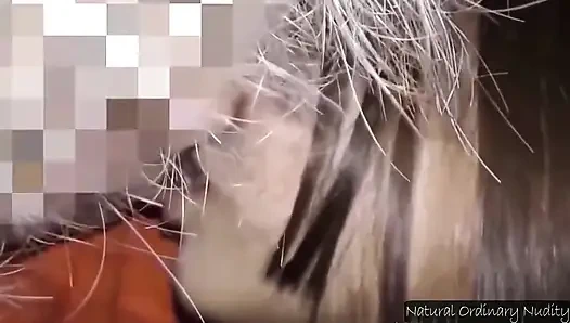 Son kez yaşamda sıcak, derin bir cennet gecesine dönüş