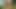 Fuck Me Right Here - Amateur Couple Risky Sex in Public Forest Park
