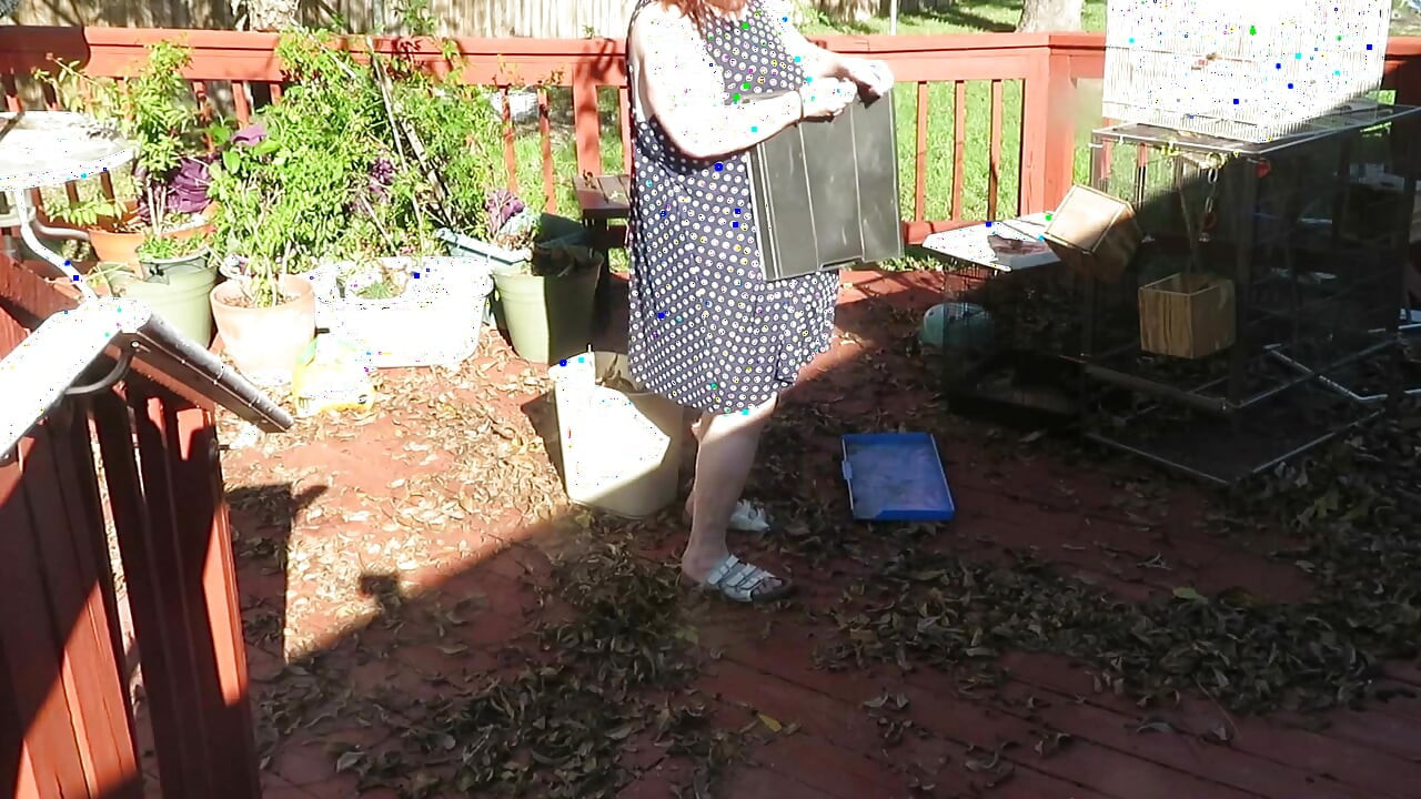 Jugando en mi jardín mostrando mis tetas vientre culo, piernas y coño gordo mostrando usted mientras limpia mis hojas! Tanga de encaje rojo!