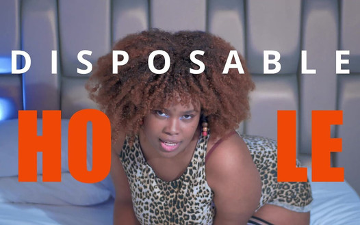 Pregled videozapisa