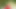 Muxe LB Series - Welcum 2 the jungle - 03