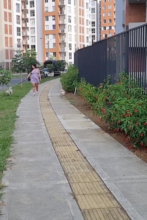 Femme Enceinte a Des Rapports Sexuels Rapides Avec Sa Voisine Dans Les Escaliers De Son Immeuble - Savannah Watson