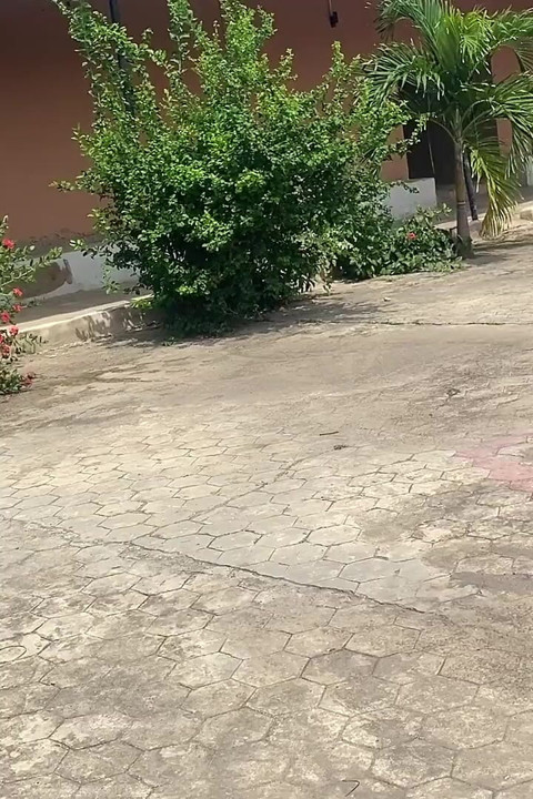 Heyecanlandıktan sonra onu siktim