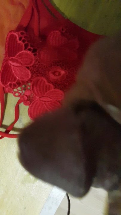 cumming magain