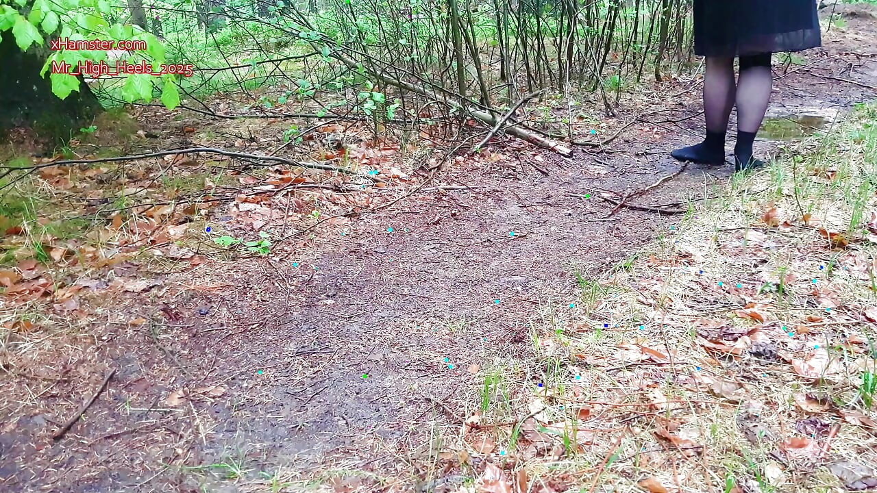 With socks in the forest