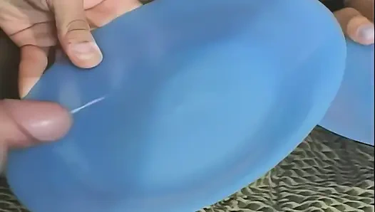 Schweine Und in Der Hitze