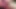 Orta yaşlı seksi kadın yeni oyuncağıyla oynuyor