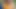 Yellow saree blouse petticoat