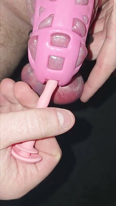 戴着粉红色的鸡巴笼子，许多鸡巴环围绕我的球，意外地将我的阴茎塞一直插入我的鸡巴。