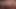 Daddy Bear Cumpilation August 2025