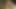 プロのマッサージ師に脱がせて、結局毛深い膣に射精してしまいました